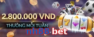 nh88 bet