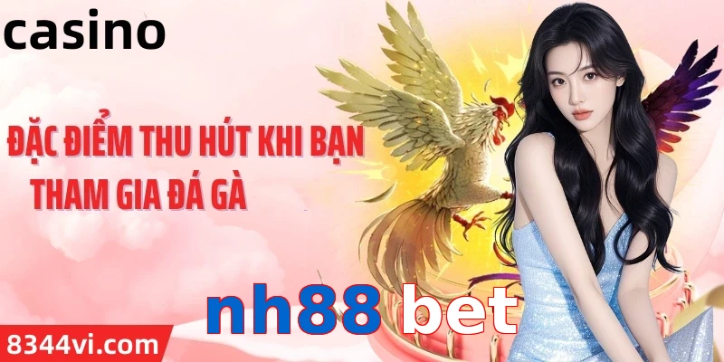 nh88 bet